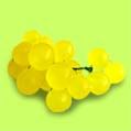 YELLOW GRAPES