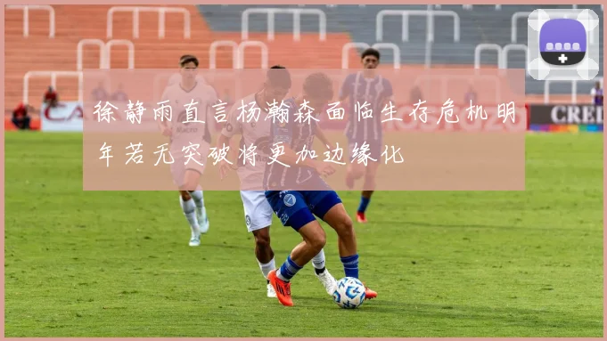 徐静雨直言杨瀚森面临生存危机明年若无突破将更加边缘化