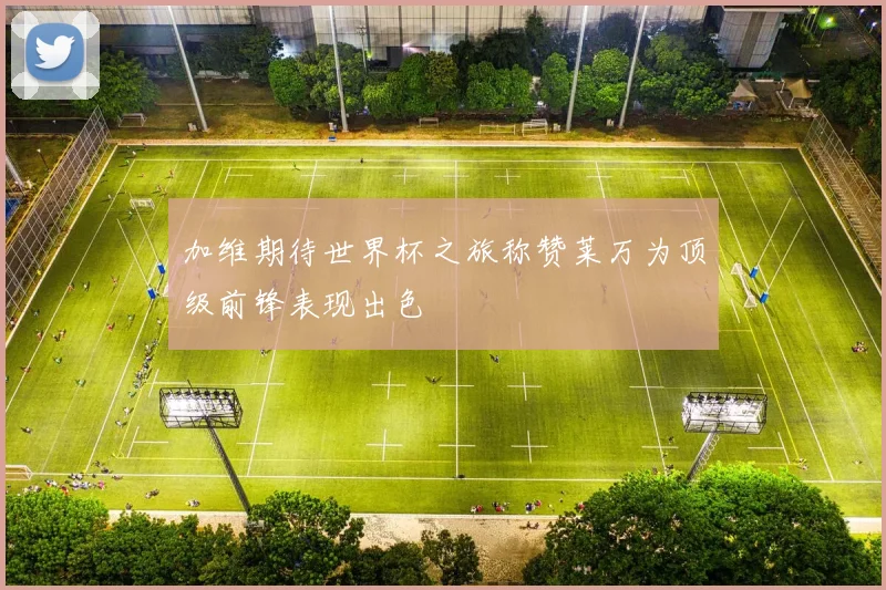 加维期待世界杯之旅称赞莱万为顶级前锋表现出色