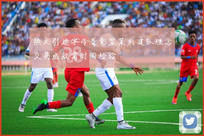 热火引进字母哥彰显莱利建队理念交易成效需时间检验